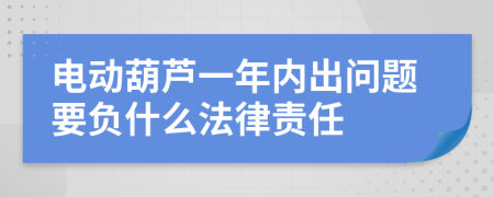 电动葫芦一年内出问题要负什么法律责任