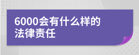 6000会有什么样的法律责任