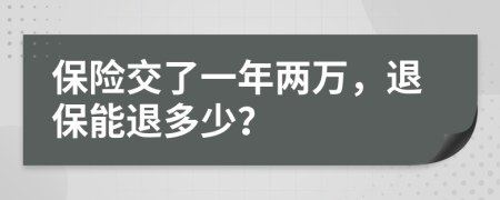 保险交了一年两万，退保能退多少？