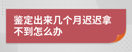 鉴定出来几个月迟迟拿不到怎么办