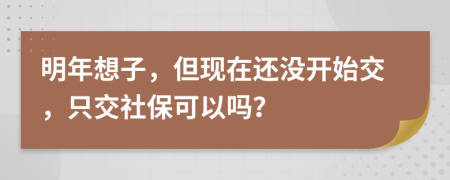 明年想子，但现在还没开始交，只交社保可以吗？