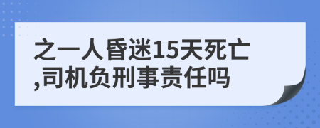 之一人昏迷15天死亡,司机负刑事责任吗