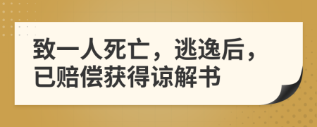 致一人死亡，逃逸后，已赔偿获得谅解书