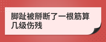 脚趾被掰断了一根筋算几级伤残