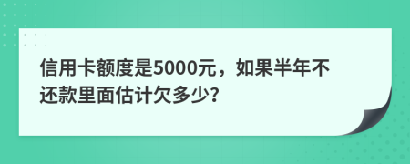 信用卡额度是5000元，如果半年不还款里面估计欠多少？