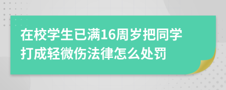 在校学生已满16周岁把同学打成轻微伤法律怎么处罚