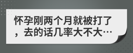 怀孕刚两个月就被打了，去的话几率大不大…