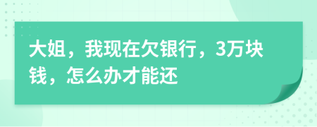 大姐，我现在欠银行，3万块钱，怎么办才能还