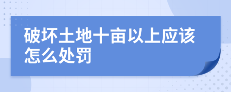 破坏土地十亩以上应该怎么处罚