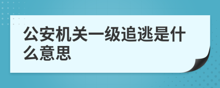 公安机关一级追逃是什么意思