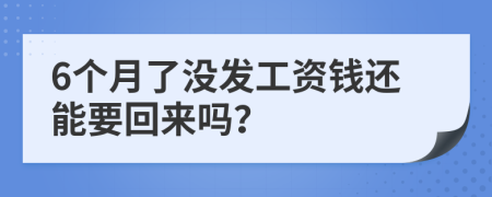 6个月了没发工资钱还能要回来吗？