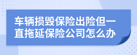 车辆损毁保险出险但一直拖延保险公司怎么办