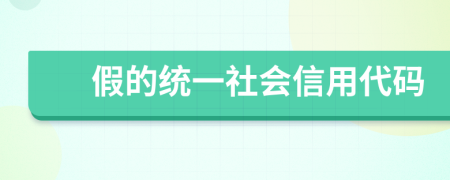 假的统一社会信用代码