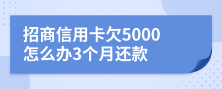 招商信用卡欠5000怎么办3个月还款