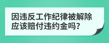 因违反工作纪律被解除应该赔付违约金吗？