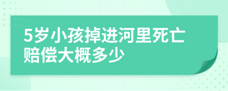 5岁小孩掉进河里死亡赔偿大概多少