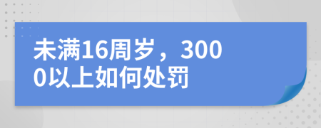 未满16周岁，3000以上如何处罚