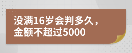 没满16岁会判多久，金额不超过5000