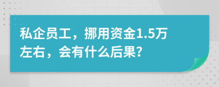 私企员工，挪用资金1.5万左右，会有什么后果？