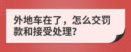 外地车在了，怎么交罚款和接受处理？