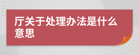 厅关于处理办法是什么意思