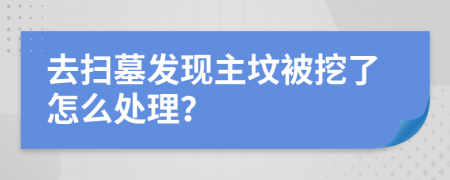 去扫墓发现主坟被挖了怎么处理？