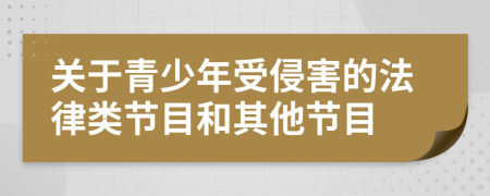 关于青少年受侵害的法律类节目和其他节目