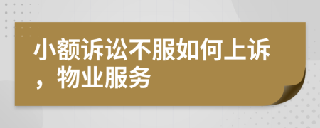 小额诉讼不服如何上诉，物业服务