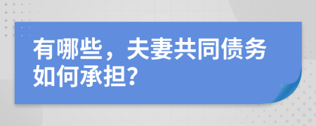 有哪些，夫妻共同债务如何承担？