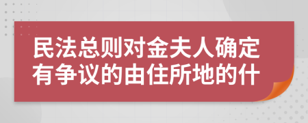 民法总则对金夫人确定有争议的由住所地的什