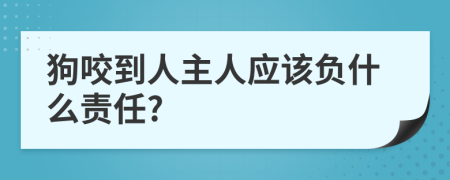 狗咬到人主人应该负什么责任?