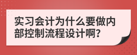 实习会计为什么要做内部控制流程设计啊？