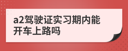 a2驾驶证实习期内能开车上路吗