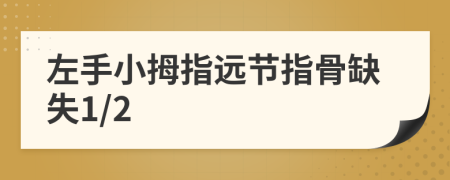 左手小拇指远节指骨缺失1/2