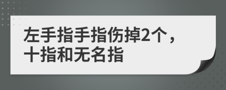 左手指手指伤掉2个，十指和无名指