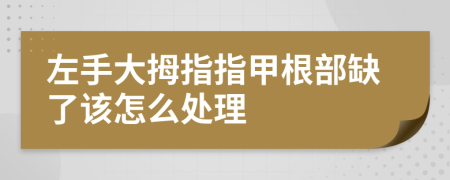 左手大拇指指甲根部缺了该怎么处理