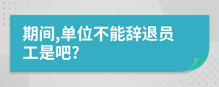 期间,单位不能辞退员工是吧?