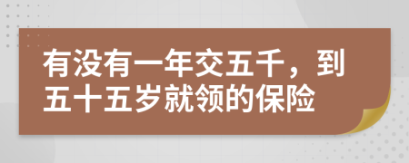 有没有一年交五千，到五十五岁就领的保险