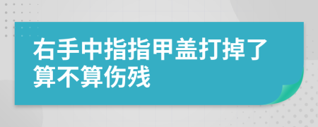 右手中指指甲盖打掉了算不算伤残