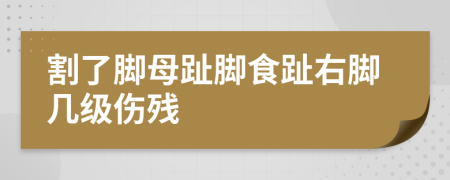 割了脚母趾脚食趾右脚几级伤残