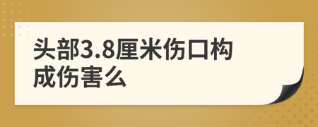 头部3.8厘米伤口构成伤害么