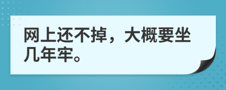 网上还不掉，大概要坐几年牢。