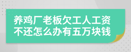 养鸡厂老板欠工人工资不还怎么办有五万块钱