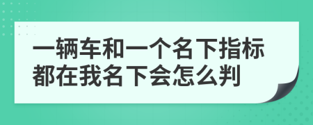 一辆车和一个名下指标都在我名下会怎么判