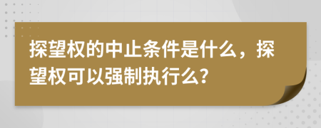 探望权的中止条件是什么，探望权可以强制执行么？