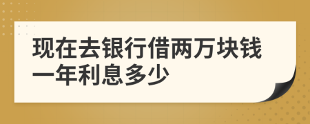 现在去银行借两万块钱一年利息多少