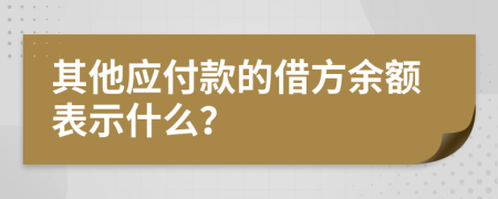 其他应付款的借方余额表示什么？