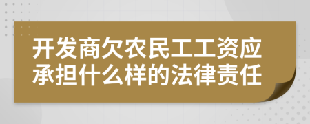 开发商欠农民工工资应承担什么样的法律责任