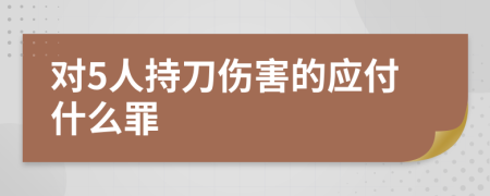 对5人持刀伤害的应付什么罪