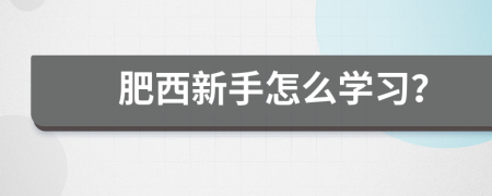 肥西新手怎么学习？